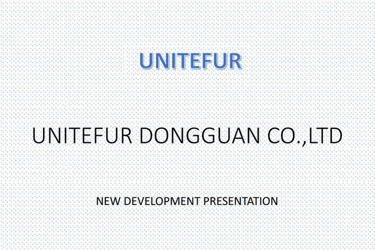 New Development Presentation